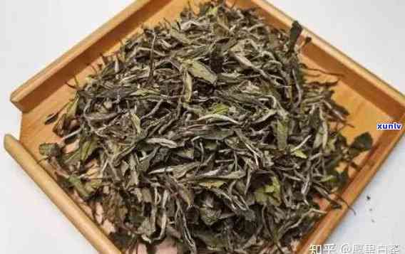 明茶：究竟属于哪种茶类？详解其品种特性