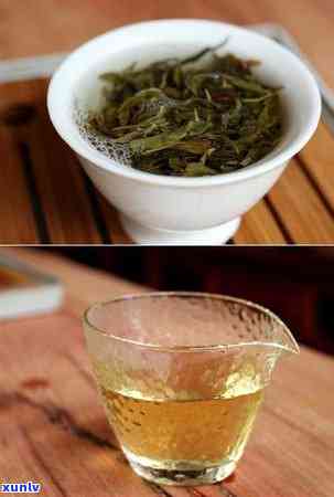 蒸酶茶属于什么茶类，探究蒸酶茶的归属：它属于哪一类茶？