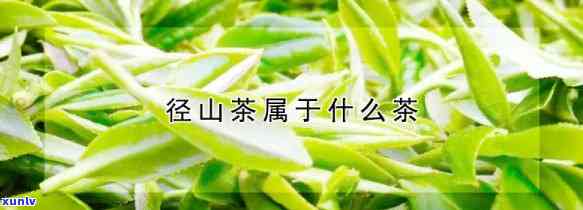 径山茶属于什么茶类-径山茶是什么茶