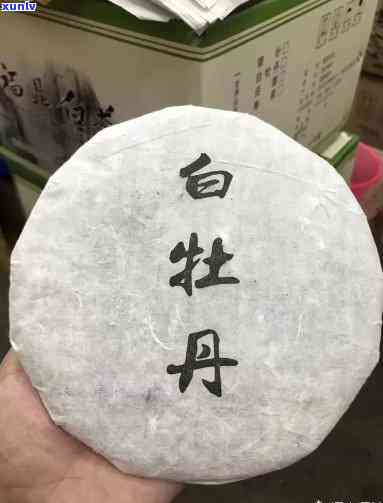 龙珠白牡丹：属于何种茶类？是高档品吗？