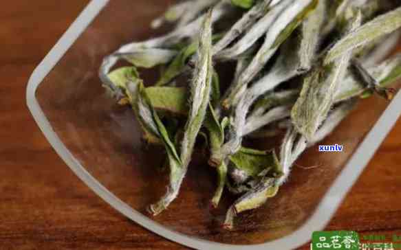 白牡丹属于什么茶类-龙珠白牡丹属于什么茶类