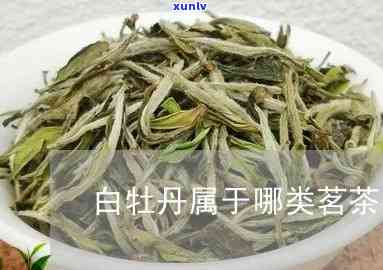 白牡丹属于什么茶类-龙珠白牡丹属于什么茶类