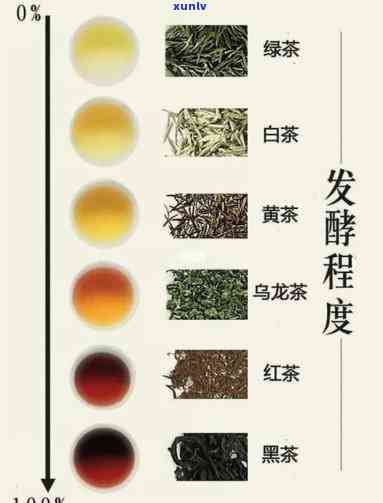 茶的三大特征性物质-茶的三大特征性物质是什么