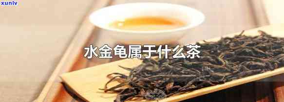 水金龟属于红茶还是绿茶，揭秘茶叶种类：水金龟是红茶还是绿茶？