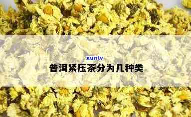 紧压茶属于什么茶类-紧压茶属于什么茶类