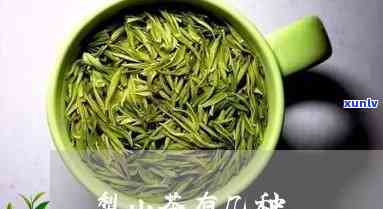 梨山茶属于什么茶类？详解其品种与分类