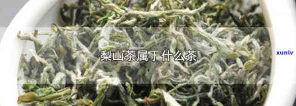 梨山茶的功效、作用及禁忌全解析