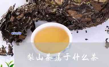 梨山茶属于什么茶类-梨山茶属于什么茶类