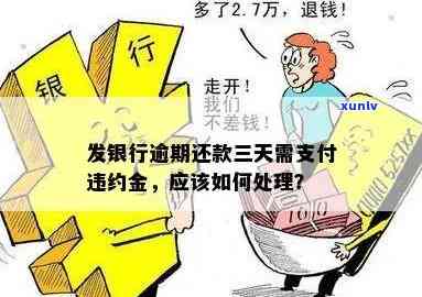 黄翡翠和黄翡翠哪个好，黄翡翠与相似品种的比较：哪种更好？