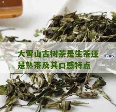 雪山古茶是什么茶类-雪山古茶是什么茶类的