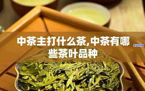 中树茶属于什么茶类-中树茶属于什么茶类型