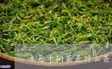 中树茶属于什么茶类-中树茶属于什么茶类型