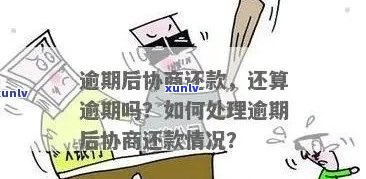 普洱老同志茶饼价格查询，报价及收藏价值分析 - 行情报价网