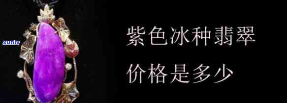 冰紫翡翠吊坠价格，探究冰紫翡翠吊坠的价格及其市场价值