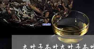 大叶子茶的药用价值-大叶子茶的药用价值是什么