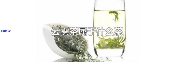 云雾茶属于什么茶类-云雾茶是什么档次