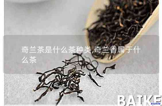 奇楠茶属于什么茶类-奇楠茶属于什么茶类的