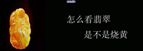 烧黄翡翠如何鉴别真伪优劣？