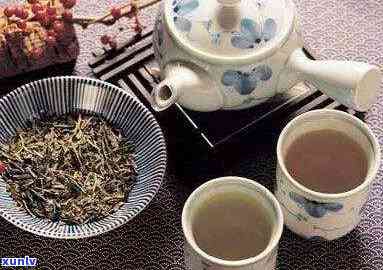 仲茶属于什么茶类-仲茶属于什么茶类