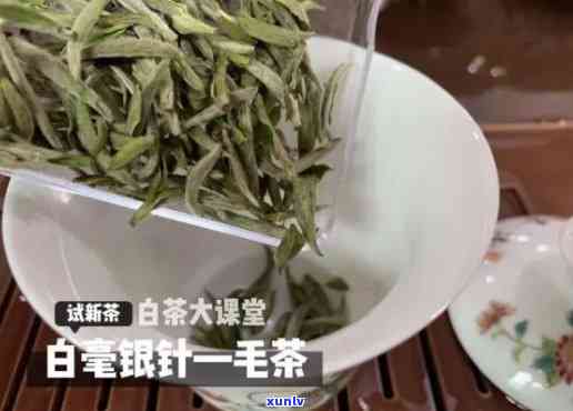 大白毫口感，探索大白毫的口感魅力：一杯茶，一份享受