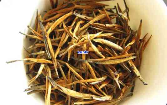 大金针属于什么茶类的，探秘茶叶世界：大金针属于哪种茶类？