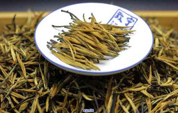 大金针属于什么茶类-大金针属于什么茶类有绿茶吗