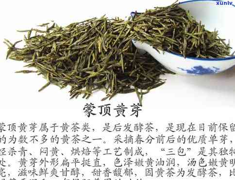 顶黄芽是什么茶类-顶黄芽属于什么茶类