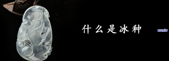 冰种的功效与作用，探秘冰种的功效与作用，揭示其神秘的健康益处