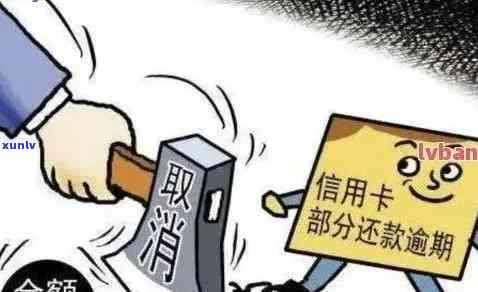 发逾期几天是发内部人员吗，发逾期几天：内部人员是不是参与？