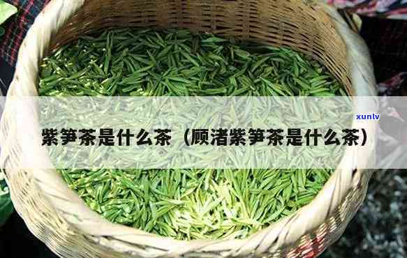 紫笋茶属于什么茶类类型，探秘紫笋茶：它属于哪种类型的茶？