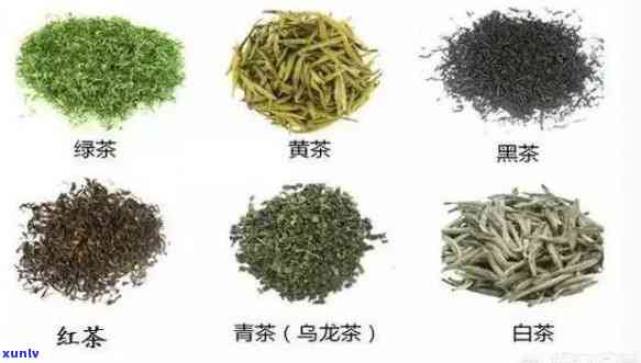 茶的五大分类，探秘茶的世界：五大分类详解