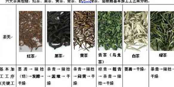 各种茶的分类一览表：全面了解各类茶叶