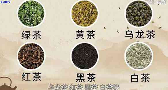 五种茶的分类及特征-五种茶的分类及特征介绍