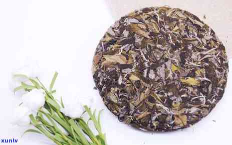 白牡丹茶叶介绍，探秘白牡丹茶叶：品味中国茶文化的精髓
