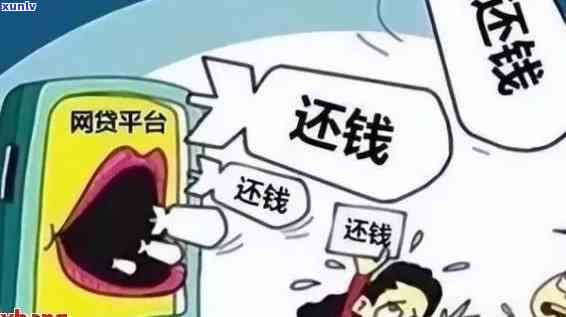 发催还款  ：怎样拨打及留意事