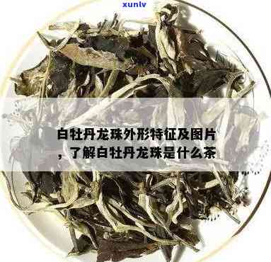 白牡丹茶的外形特征-白牡丹茶的外形特征是什么