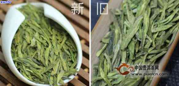 如何识别新茶与陈茶：详细 *** 与显著区别