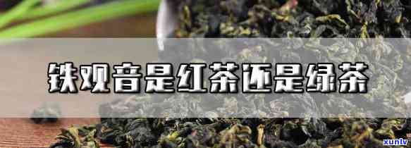 铁关音茶是红茶还是绿茶？求解答