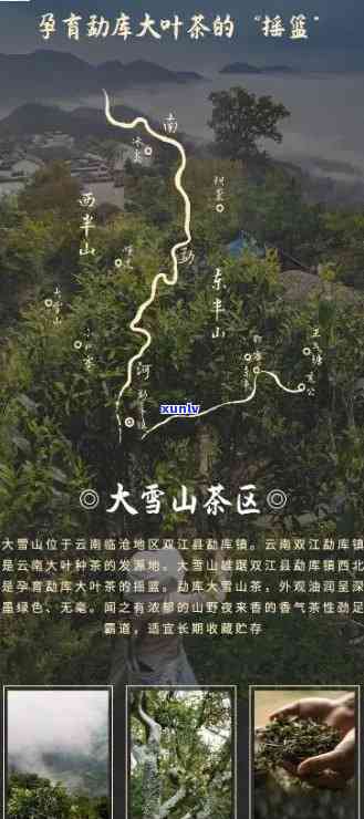 大雪山是什么茶区，揭秘茶叶世界：大雪山是哪个茶区的代表性产地？