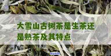 大雪山：熟茶还是生茶？探讨其优劣