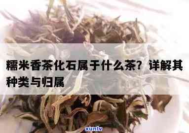 糯米香茶是什么茶类？详解其种类与特点