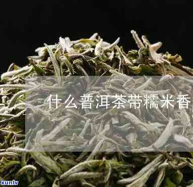 糯米香茶是什么茶类-糯米香茶是什么茶类的