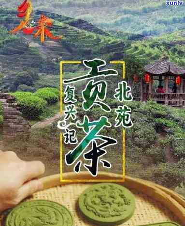 北苑贡茶录，探索中国茶文化：北苑贡茶的历与魅力