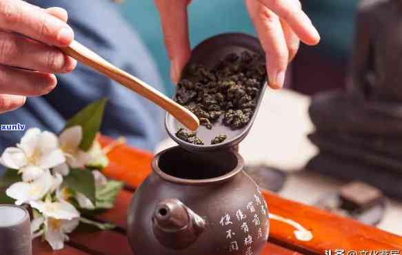 北苑茶：种类、文化和茶馆全面解析