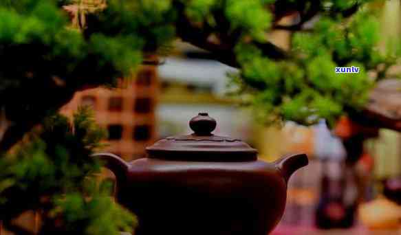 北苑茶文化，探索北苑茶文化的魅力与历