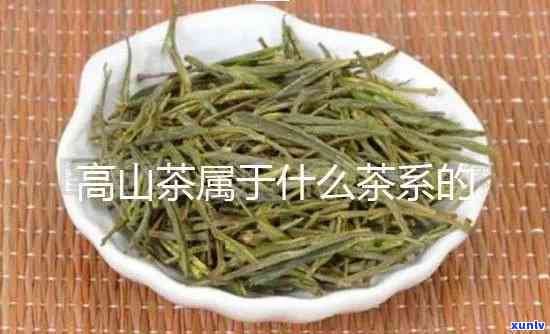 高山茶属于什么茶类-高山茶属于什么茶类的