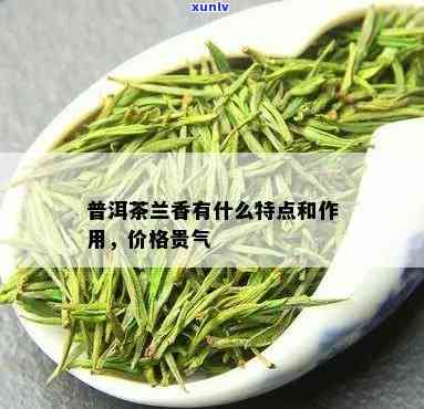 兰香茶的功效与作用：揭示其独特功能与分类