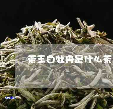 牡丹王属于什么茶类-牡丹王属于什么茶类