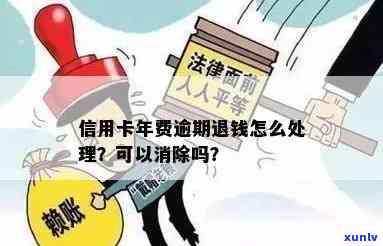 发年费逾期时间是多久？退款规定是什么？