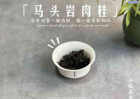 红茶的主要代表茶类是什么？探讨其品种与特点